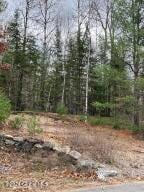 8 & 14 Mountain Path North Creek, NY 12853