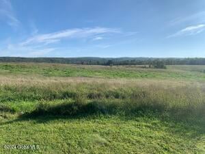 Lot 1 Western Turnpike Esperance, NY 12066