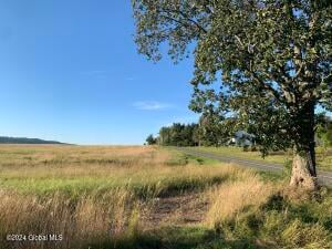 Lot 6 NY 30 Esperance, NY 12066