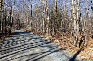 Lot 2 Fire Tower Road Grafton, NY 12138