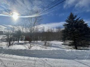 137 Easy Street Stamford, NY 12167