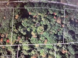 24 Lady Slipper Lane Porter Corners, NY 12859