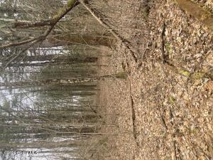 462 Malta Avenue Malta, NY 12020