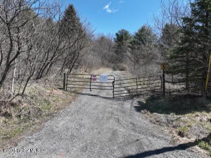 L24.2 Switzer Hill Road Mohawk, NY 12068