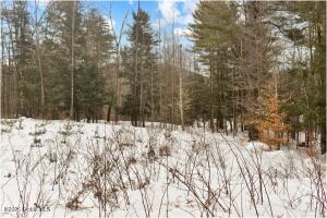18 Highview Lane Wevertown, NY 12886
