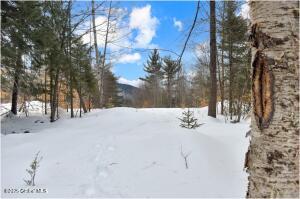 L87 Highview Lane Wevertown, NY 12886
