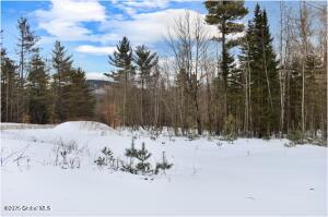 L88 Highview Lane Wevertown, NY 12886