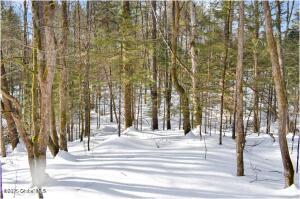 L96 Highview Lane Wevertown, NY 12886