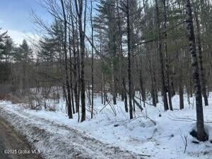 L11.127 Hogback Road Crown Point, NY 12928