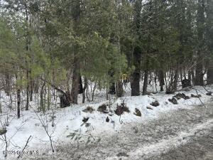 L22.120 Hog Back Road Essex, NY 12928