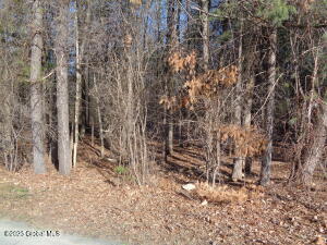 L14.2 Ghents Road Schenectady, NY 12306