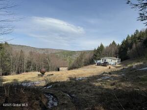 4719 Washington Street Prattsville, NY 12468