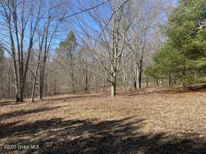 L21.1 Alder Pond Road Andes, NY 13740