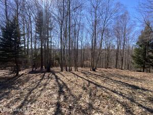 L22.2 Alder Pond Road Andes, NY 13740