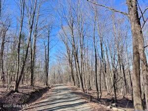 L22 Ryan Road Greenwich, NY 12834