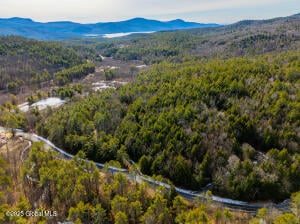 L20 New Vermont Road Bolton, NY 12814