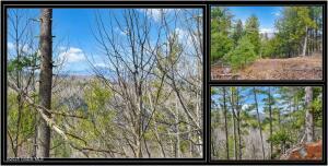 L18 Mountain Meadows Road Adirondack, NY 12808