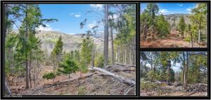 L17 Mountain Meadows Road Adirondack, NY 12860