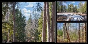 L15 Mountain Meadows Road Adirondack, NY 12860