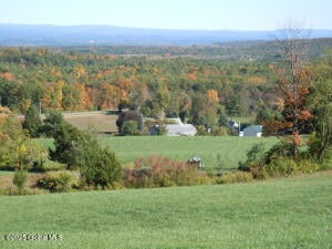 22 DeCocco Drive Selkirk, NY 12159