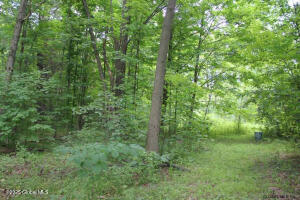 10 Whites Beach Rd Road Ballston Lake, NY 12019
