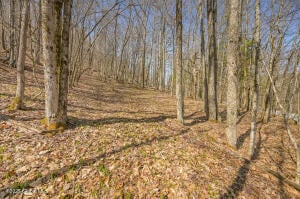 L9.114 Lutheranville Road East Worcester, NY 12175