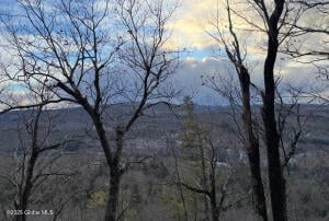 L6 Antone Mountain Road Corinth, NY 12822