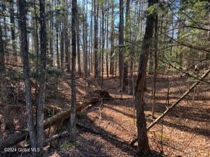 L5 State Rt 28N North Creek, NY 12853