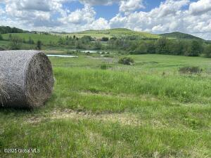 103 Franklin Bellinger Road Sharon Springs, NY 13459