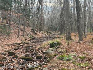 L7.1 Nugent Road Grafton, NY 12082