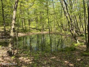 0 County Route 5 & I90 Canaan, NY 12060