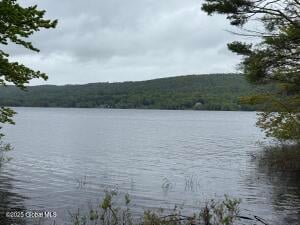 1569 S Shore Road Hadley, NY 12835