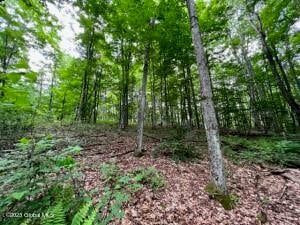 Lot 1 McGregor Road Gloversville, NY 12078