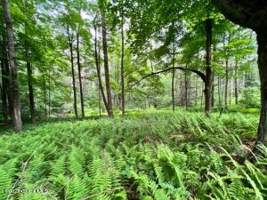 Lot 2 McGregor Road Gloversville, NY 12078