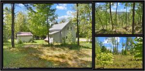 364 Pease Hill Road Brant Lake, NY 12815