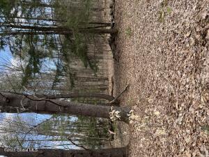 L64 L24 Honeysuckle Drive North Granville, NY 12832