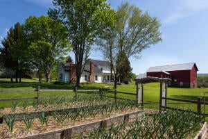 380 Raymond Fish Road Hartwick, NY 13348