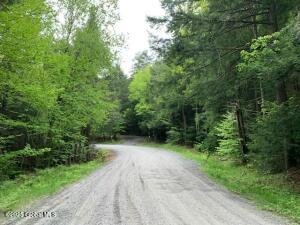 0 Trout Falls Road Bolton Landing, NY 12814