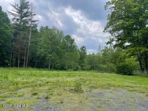 33 Turner Park Road Scotia, NY 12302