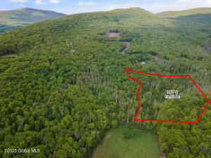 1 Galway Road Windham, NY 12496