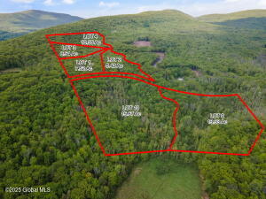 10 Galway Road Windham, NY 12496