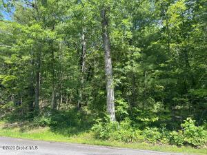 L20.1 Vosenkill Road Athens, NY 12015
