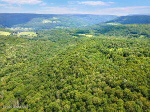 L1 Lassen Road Broome, NY 12122