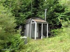 1157 County Route 29 Minerva, NY 12857