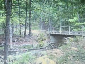 L1.2 Trout Brook Road Hague, NY 12836