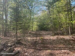 L12 Adirondack Heights Road Chestertown, NY 12817