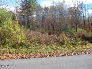 314-332 Fortsville Road Gansevoort, NY 12831