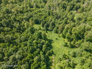 L4 Harvish Road Jefferson, NY 12167