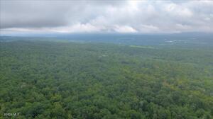 181 Liddle Road Duanesburg, NY 12056