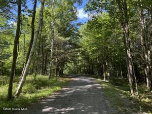 564 Valley Woods Road Bolton Landing, NY 12814